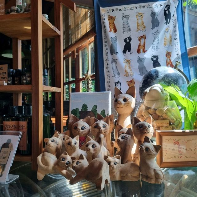 Lifehouse Cafe บรรยากาศฟินๆ @ฉะเชิงเทรา