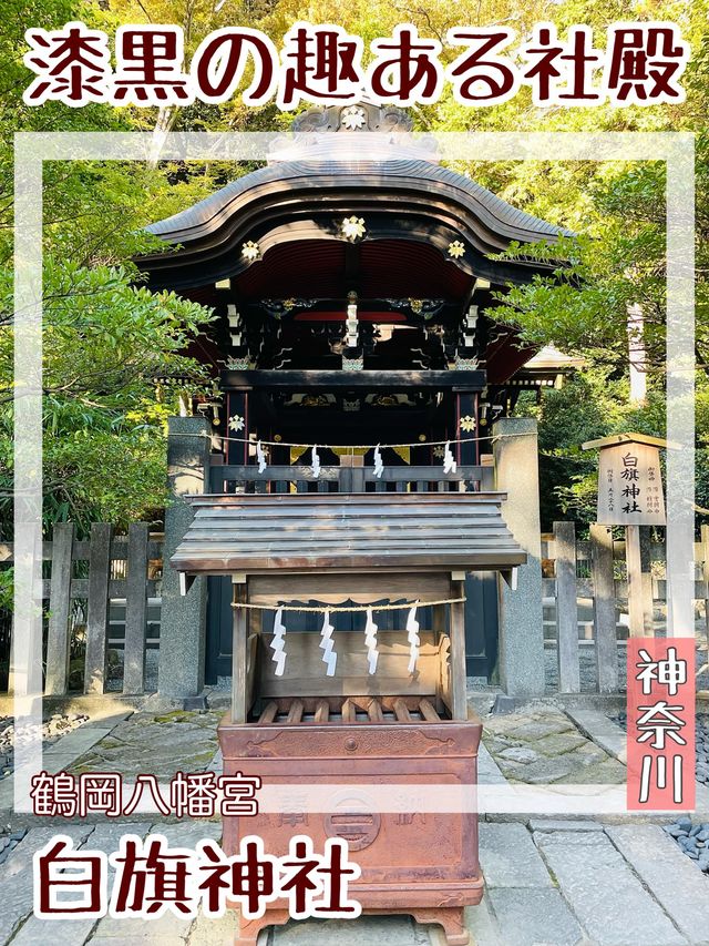 【神奈川県/白旗神社】漆黒の趣ある社殿