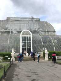 世界文化遺產之Kew Gardens‼️百年溫室❤️欣賞大同花卉