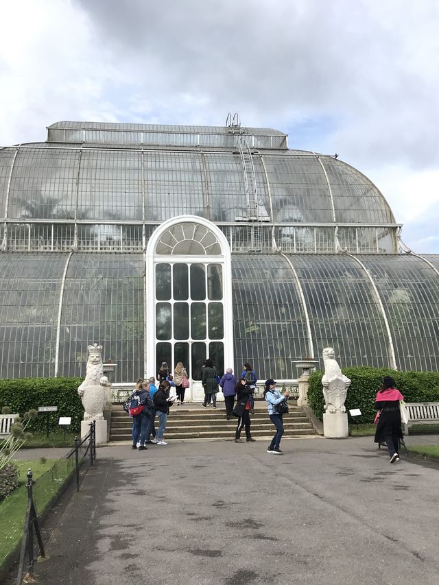 世界文化遺產之Kew Gardens‼️百年溫室❤️欣賞大同花卉
