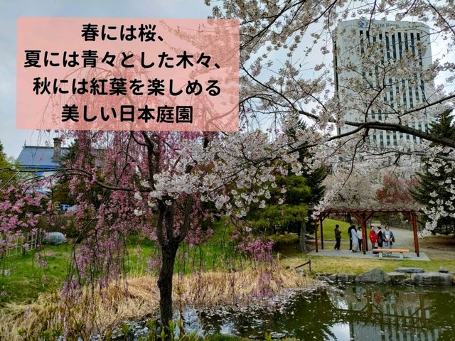 札幌市中心部の大型公園 中島公園の魅力