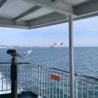 Ferry from Shimbara to Kumamoto 