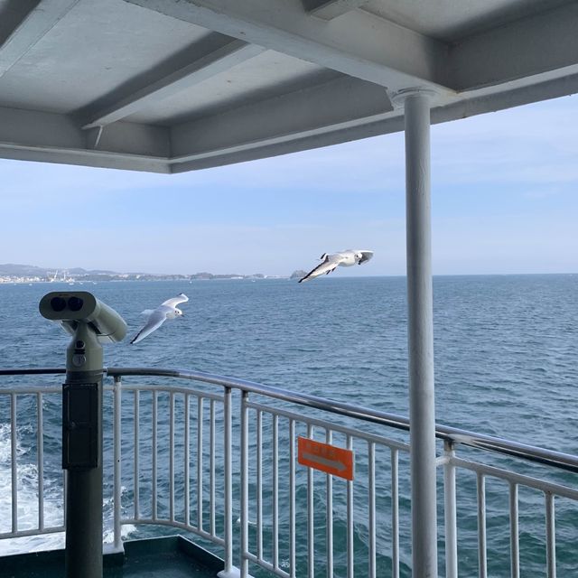 Ferry from Shimbara to Kumamoto 