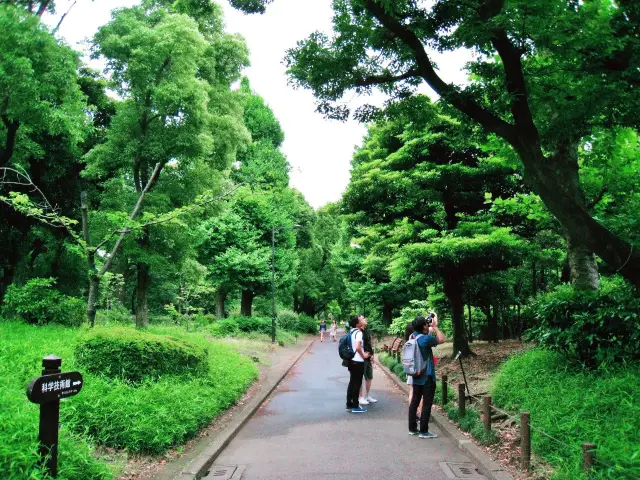 Imperial palace gardens