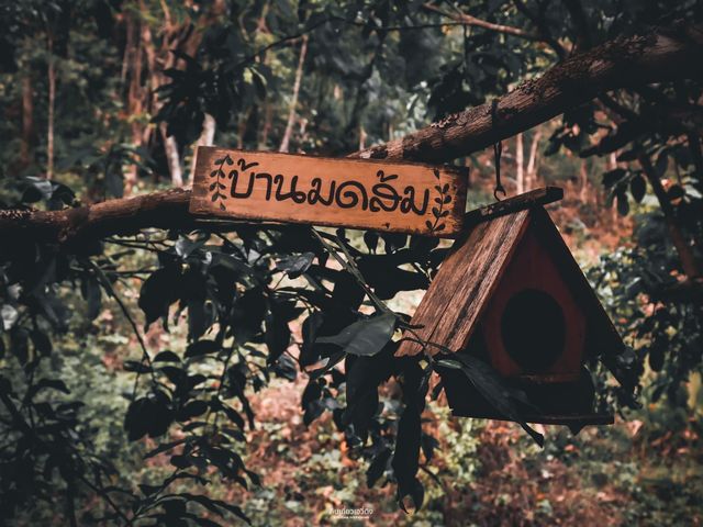 บ้านเล็กกลางป่าใหญ่ หมู่บ้านแม่ออน เชียงใหม่🍃