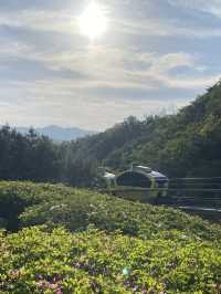 인생샷 절로 나오는 포천 아트밸리⛰️💚
