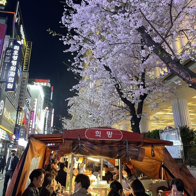경남 꽃놀이 명소 모음🌸