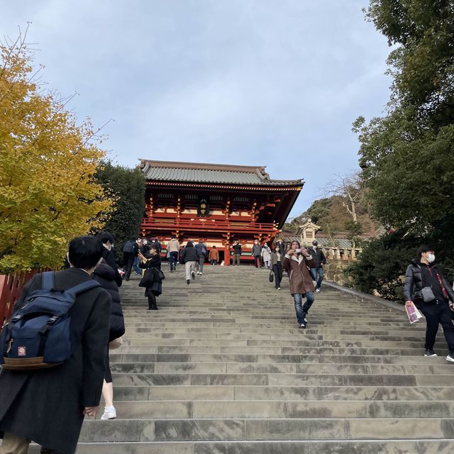 日本東京近郊🇯🇵 鎌倉江之島一日遊