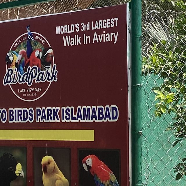 Islamabad bird lark