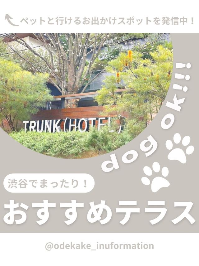 【渋谷】わんこと行けるおしゃれテラス☕️