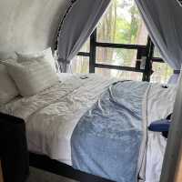 Enjoy the nature from room's wall