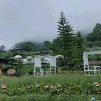 สวนอีเดน ม่อนแจ่ม Eden Gardens Resort
