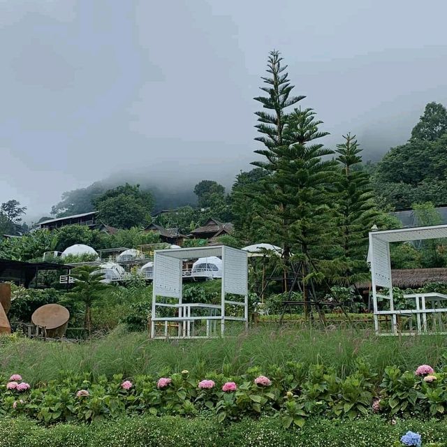 สวนอีเดน ม่อนแจ่ม Eden Gardens Resort