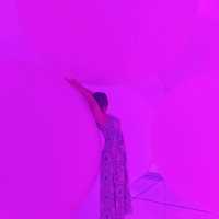 일본 도쿄에서 이색전시회로 감각채우기🌈