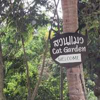 "Cat garden"โรงแรมแมว สวรรค์ของคนรักแมว📍