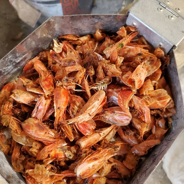 可愛い彼女とラブラブ旅行 可愛い彼女とラブラブ旅行