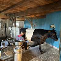 A cheese farm for cheese tasting, photo spots