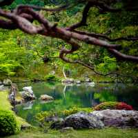 1 วัน แพลนเที่ยว Kyoto ย่านArashiyama และ Uji
