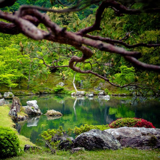 1 วัน แพลนเที่ยว Kyoto ย่านArashiyama และ Uji