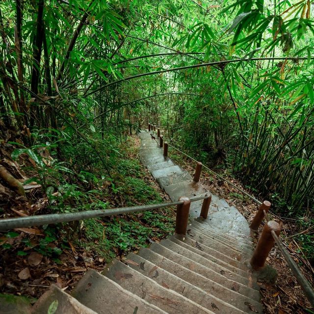 🍃เที่ยวน้ำตกเหวสุวัต พร้ิอมเรื่องเล่า