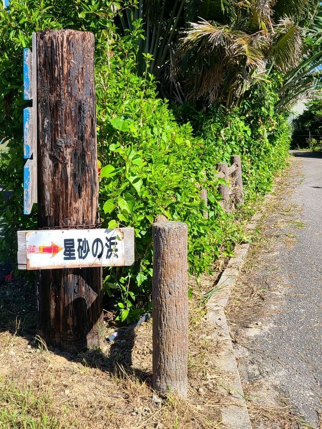 西表島で星の砂を探そう