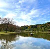 🚟 요코하마의 고즈넉하고 평화로운 일본식 전통정원 산케이엔을 방문해보세요💕 