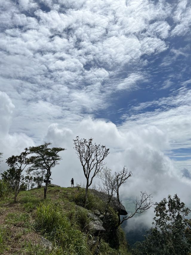 เหยียบเมฆ เดินทะลุหมอก ที่เขาหลวงสุโขทัย