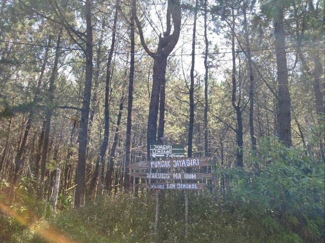 Welcome to Bandung