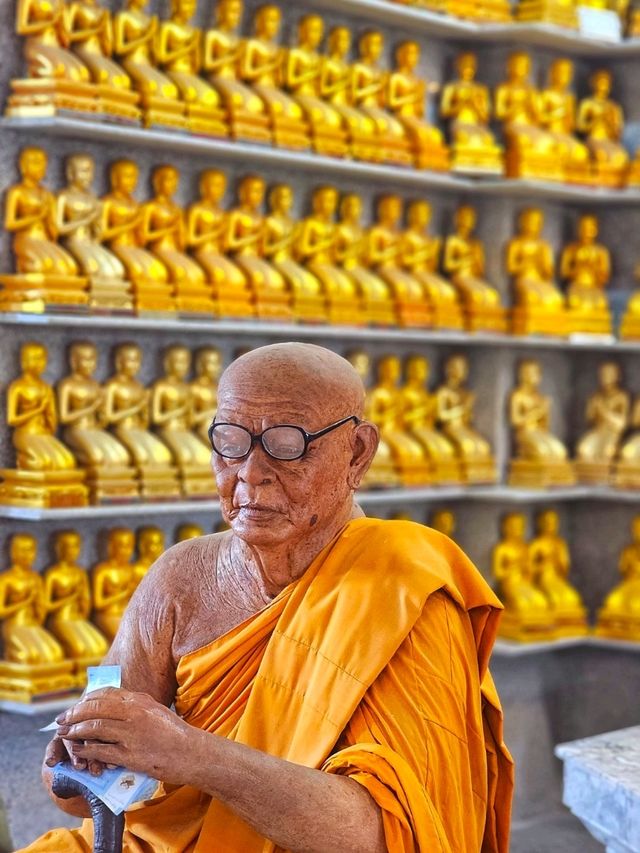 ณ เขาคอหงส์
