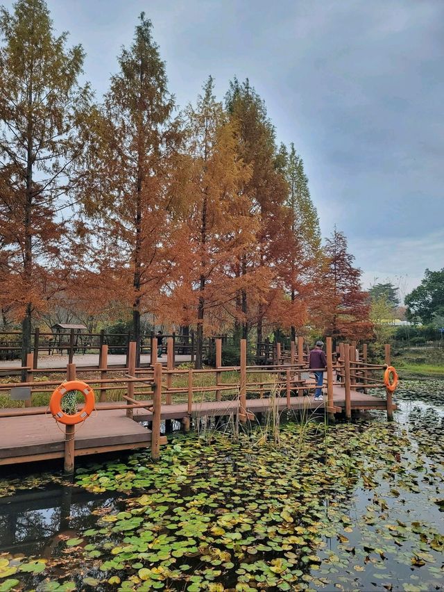 귀여운 전동차도 탈수 있는 경상남도 수목원🍂