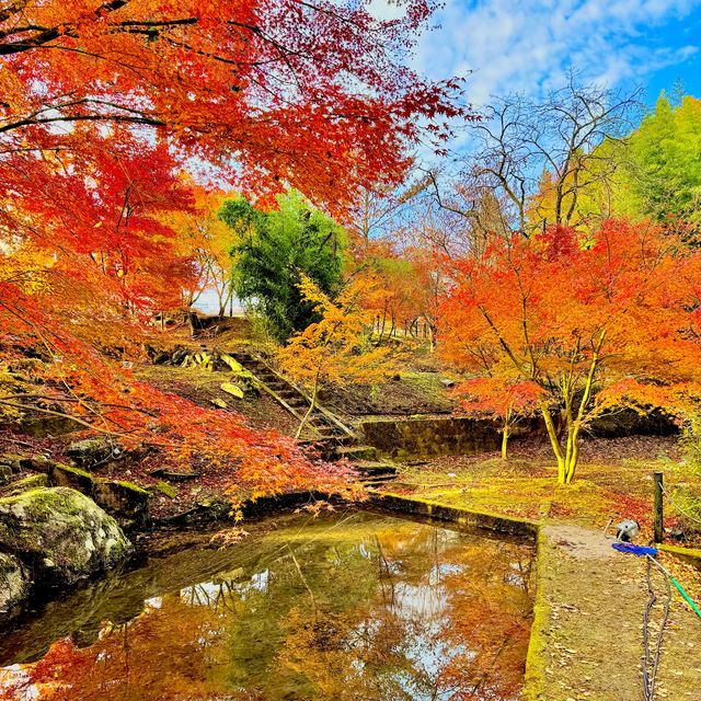 曽木公園