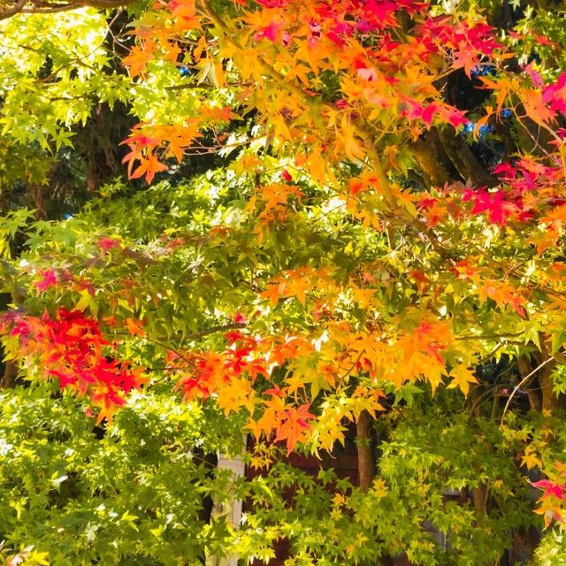 Fushoushan Farm