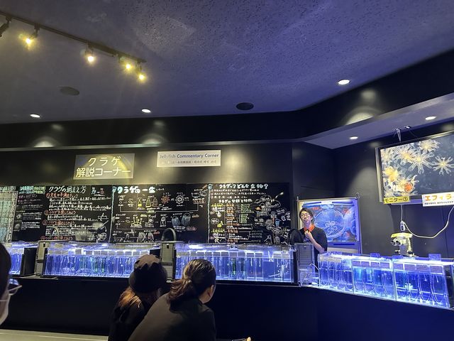 【山形】日本一のクラゲ水族館