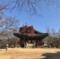 전주 한옥마을 & 오목대