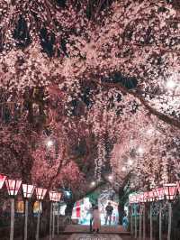 일본 시즈오카 숙소, 후지산이 보이는 후지요시다 Masaya