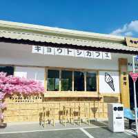 พาชิค kyoto shi cafe ราชบุรี