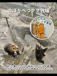 【北海道】行ってよかった登別温泉のおすすめスポット♨️