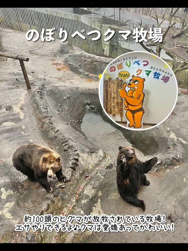 【北海道】行ってよかった登別温泉のおすすめスポット♨️