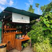 สวนดอกไม้เชียงใหม่ I Love Flower Farm