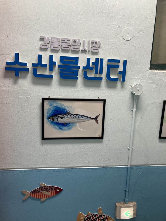 강릉 왔으면 빼놓을 수 없는 회
