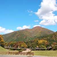 日本中部白川鄉