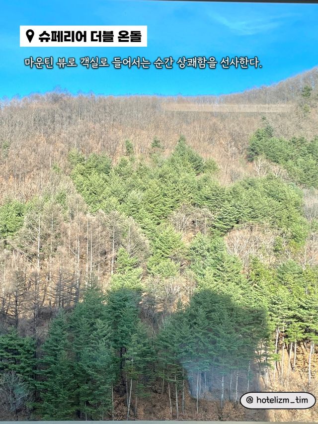 가족과 함께 다채롭게 즐기기 좋은 호텔❤️
