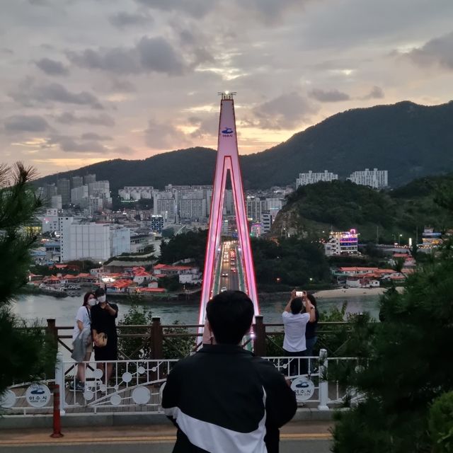 돌산대교를 한 눈에 볼 수 있는 돌산공원