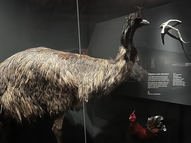 My Ancestors' 🤩🥰 Museum of my vibe🫢😝