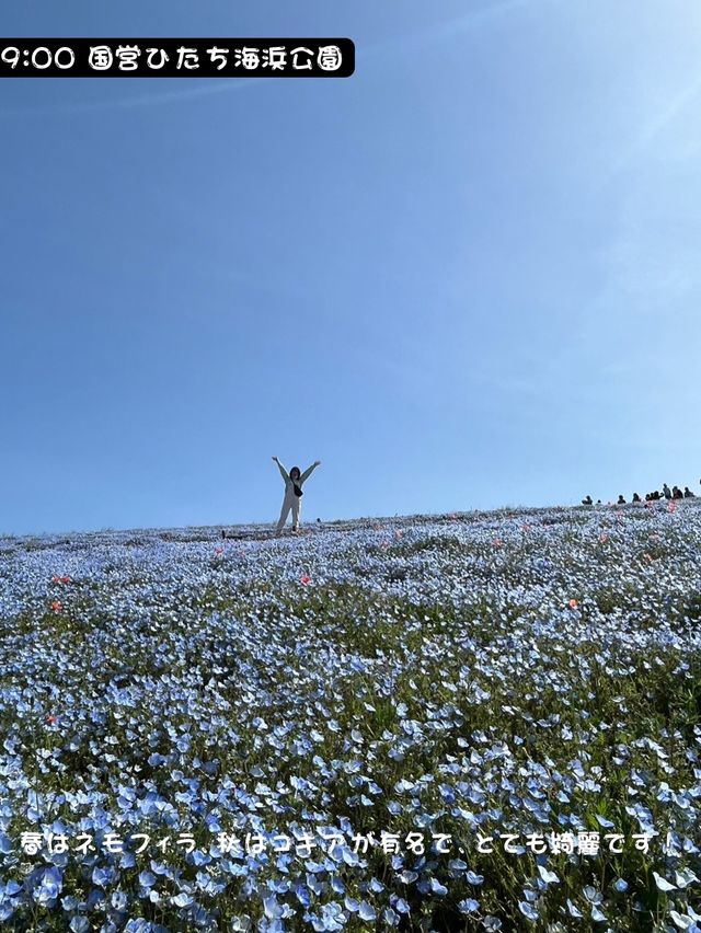 【茨城】車🚗で行く、おすすめの日帰り茨城旅👣