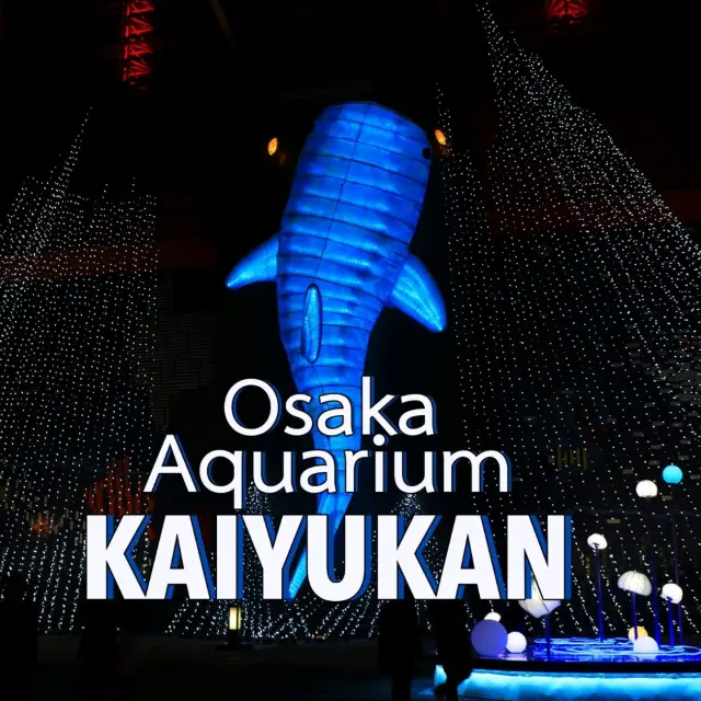 Osaka Aquarium KAIYUKAN 