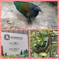 元朗公園