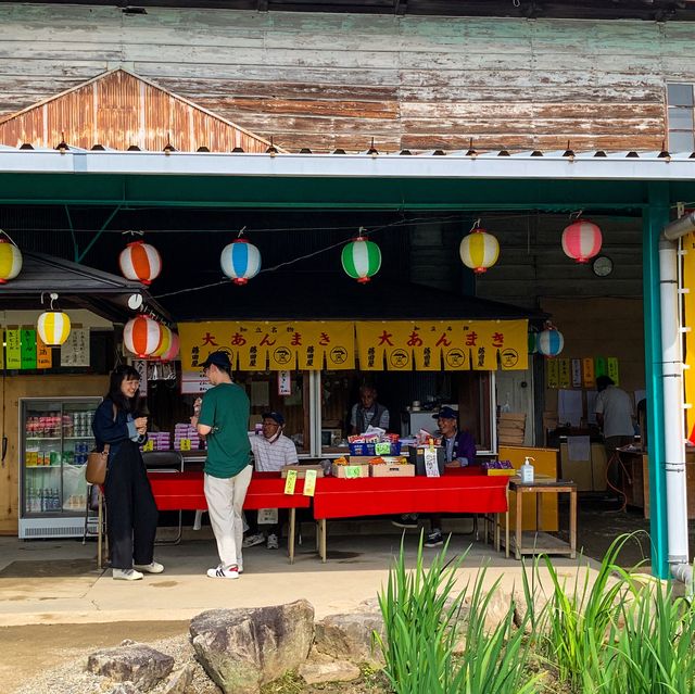 เทศกาลดอกไอริส 花じょうぶ祭