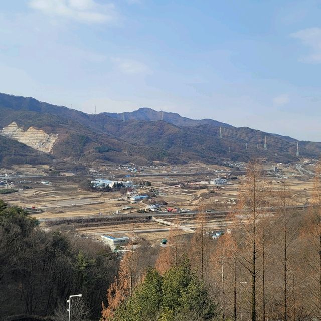 애견을 동반해 쉴 수 있는 충주 켄싱턴리조트에서 호캉스
