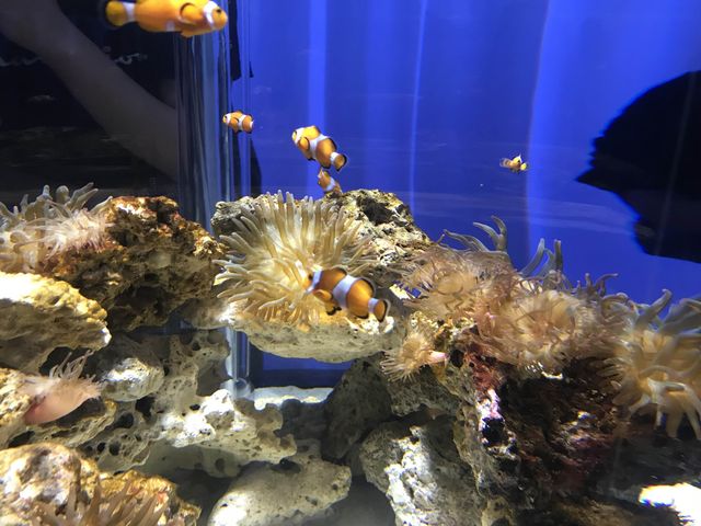 係水族館又係動物園♥️完美結合